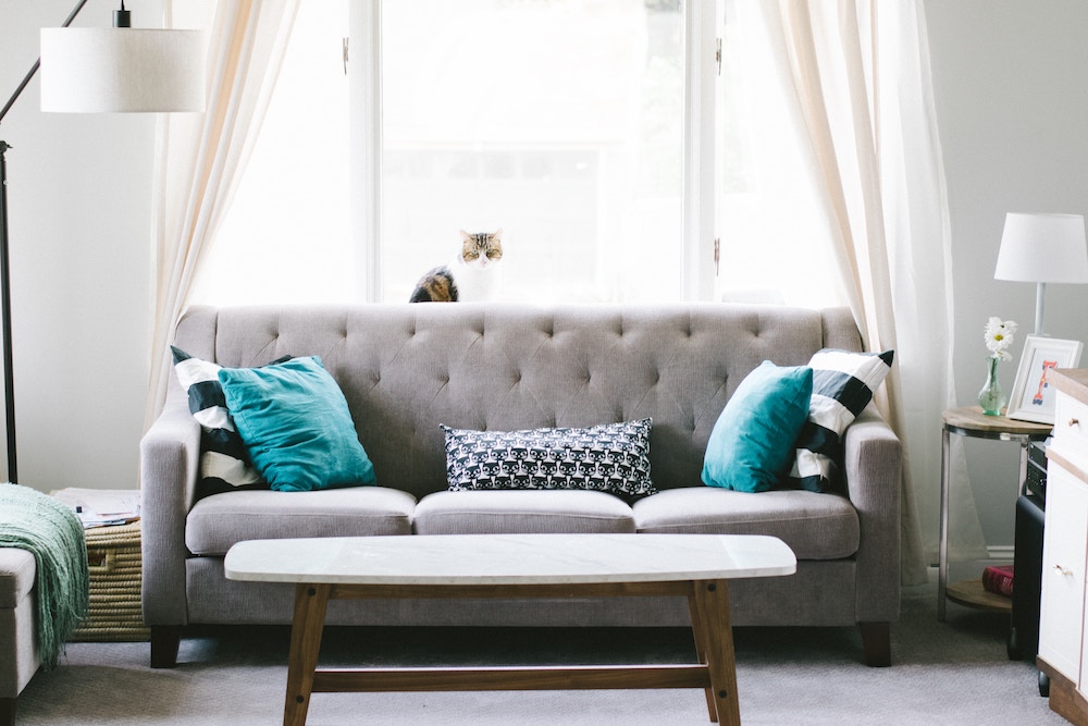 renters insurance Springboro OH